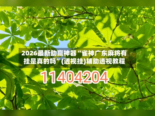 2026最新助赢神器“雀神广东麻将有挂是真的吗”(透视挂)辅助透视教程-第2张图片