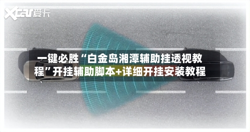 一键必胜“白金岛湘潭辅助挂透视教程	”开挂辅助脚本+详细开挂安装教程-第2张图片