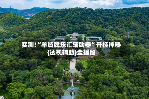 实测!“羊城牌乐汇辅助器”开挂神器{透视辅助}全揭秘-第3张图片