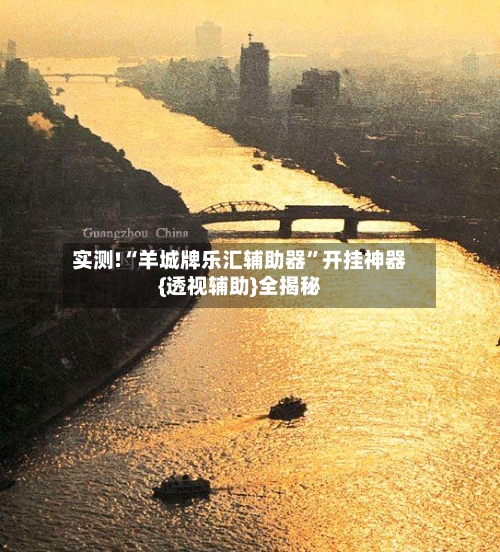 实测!“羊城牌乐汇辅助器”开挂神器{透视辅助}全揭秘-第1张图片