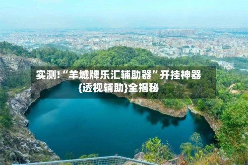 实测!“羊城牌乐汇辅助器	”开挂神器{透视辅助}全揭秘-第2张图片