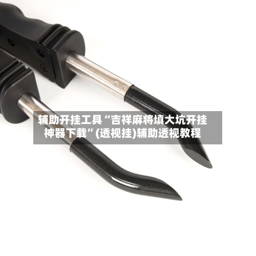 辅助开挂工具“吉祥麻将填大坑开挂神器下载”(透视挂)辅助透视教程-第3张图片