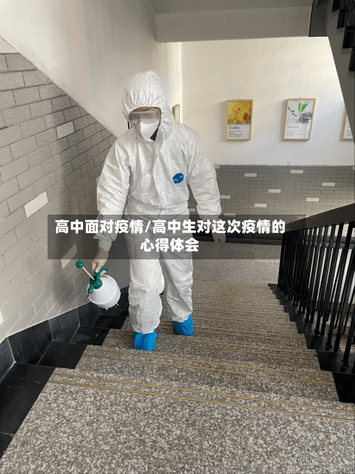 高中面对疫情/高中生对这次疫情的心得体会-第1张图片