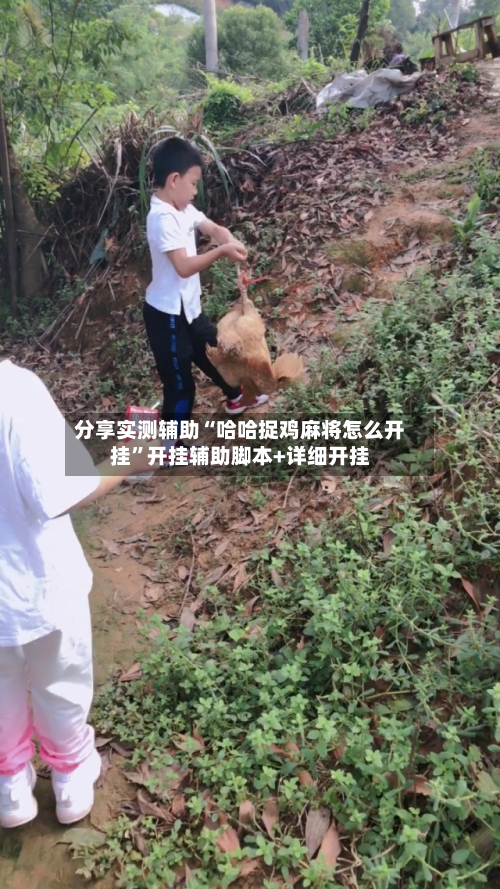 分享实测辅助“哈哈捉鸡麻将怎么开挂”开挂辅助脚本+详细开挂-第1张图片