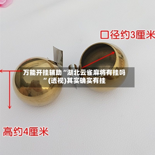 万能开挂辅助“湖北云雀麻将有挂吗	”(透视)其实确实有挂-第2张图片