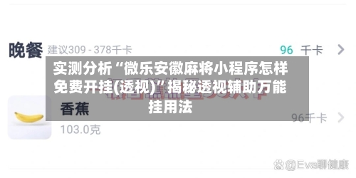 实测分析“微乐安徽麻将小程序怎样免费开挂(透视)	”揭秘透视辅助万能挂用法-第2张图片