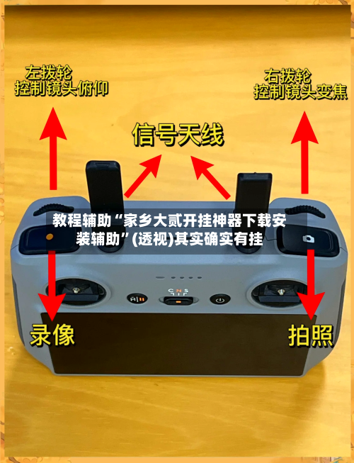 教程辅助“家乡大贰开挂神器下载安装辅助	”(透视)其实确实有挂-第2张图片