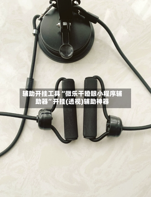 辅助开挂工具“微乐干瞪眼小程序辅助器”开挂(透视)辅助神器-第2张图片