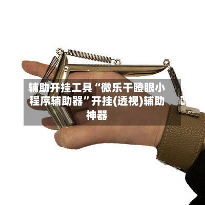 辅助开挂工具“微乐干瞪眼小程序辅助器”开挂(透视)辅助神器-第3张图片