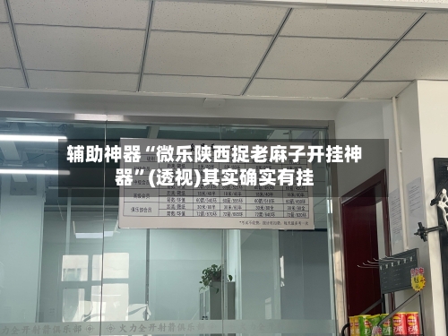 辅助神器“微乐陕西捉老麻子开挂神器”(透视)其实确实有挂-第2张图片