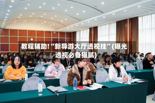 教程辅助!“新导游大厅透视挂	”(曝光透视必备猫腻)-第2张图片