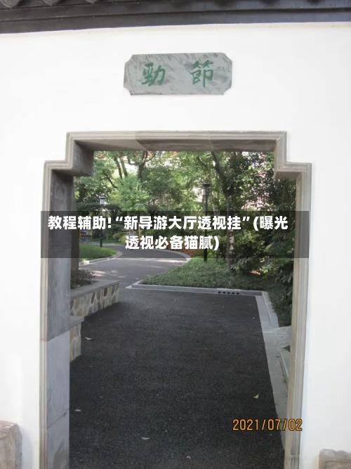 教程辅助!“新导游大厅透视挂”(曝光透视必备猫腻)-第3张图片