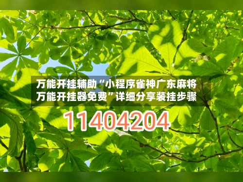 万能开挂辅助“小程序雀神广东麻将万能开挂器免费	”详细分享装挂步骤-第2张图片