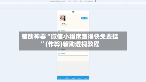 辅助神器“微信小程序跑得快免费挂”(作弊)辅助透视教程-第3张图片