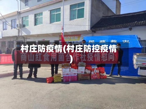 村庄防疫情(村庄防控疫情)-第2张图片