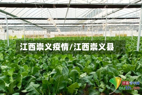 江西崇义疫情/江西崇义县-第2张图片