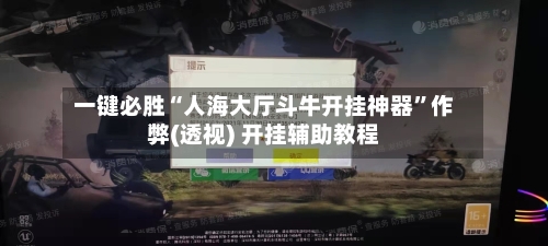 一键必胜“人海大厅斗牛开挂神器”作弊(透视) 开挂辅助教程-第2张图片