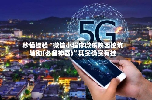 秒懂经验“微信小程序微乐陕西挖坑辅助(必备神器)	”其实确实有挂-第3张图片