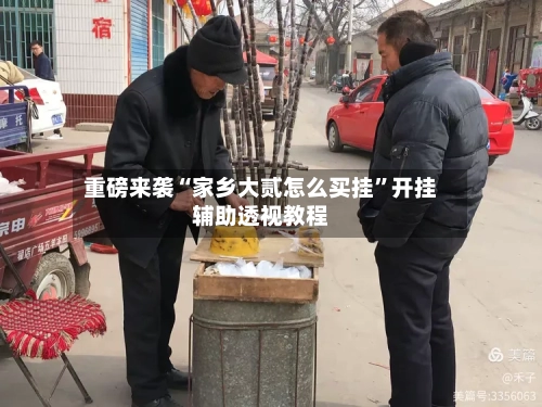 重磅来袭“家乡大贰怎么买挂”开挂辅助透视教程-第2张图片