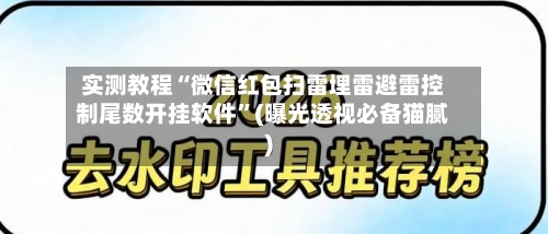 实测教程“微信红包扫雷埋雷避雷控制尾数开挂软件	”(曝光透视必备猫腻)-第1张图片