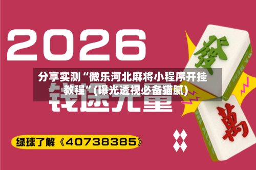 分享实测“微乐河北麻将小程序开挂教程	”(曝光透视必备猫腻)-第3张图片