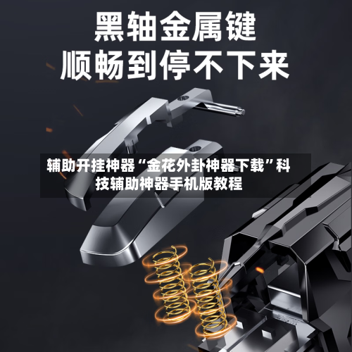 辅助开挂神器“金花外卦神器下载”科技辅助神器手机版教程-第1张图片