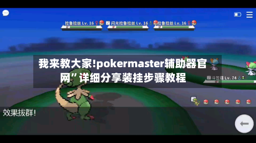 我来教大家!pokermaster辅助器官网”详细分享装挂步骤教程-第1张图片