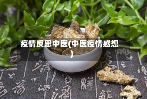 疫情反思中医(中医疫情感想)-第3张图片