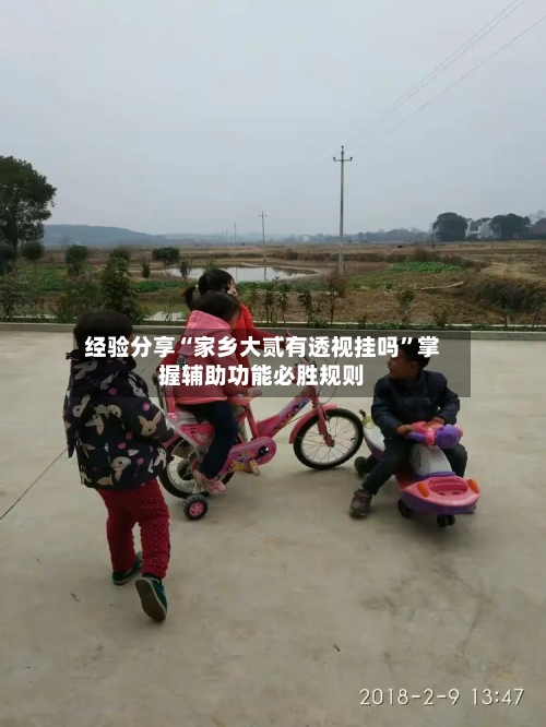 经验分享“家乡大贰有透视挂吗”掌握辅助功能必胜规则-第3张图片