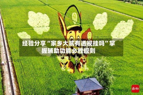 经验分享“家乡大贰有透视挂吗	”掌握辅助功能必胜规则-第1张图片