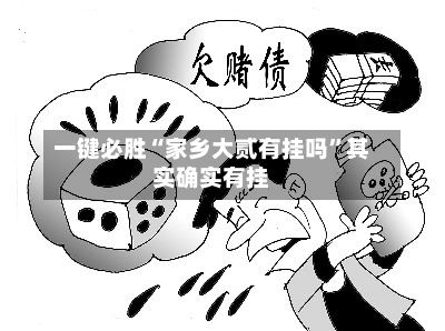 一键必胜“家乡大贰有挂吗”其实确实有挂-第2张图片