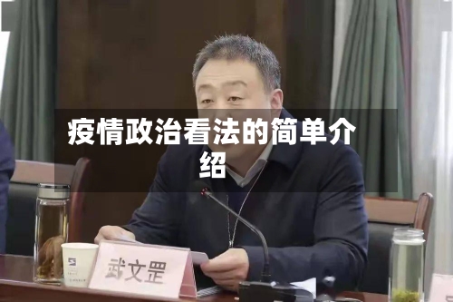 疫情政治看法的简单介绍-第2张图片