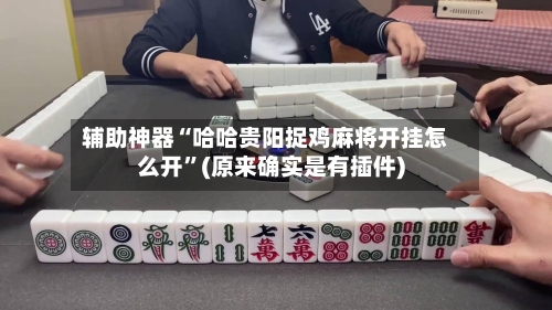 辅助神器“哈哈贵阳捉鸡麻将开挂怎么开”(原来确实是有插件)-第3张图片