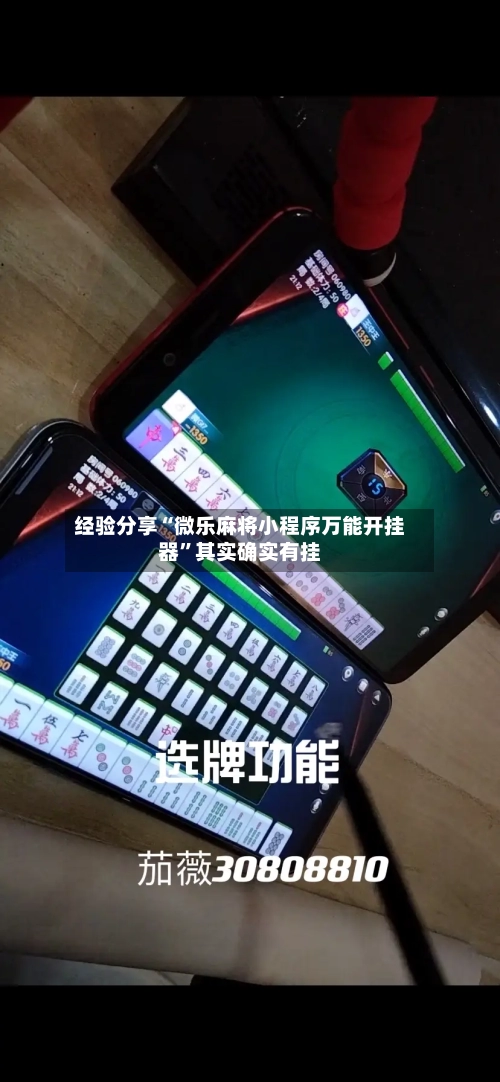 经验分享“微乐麻将小程序万能开挂器	”其实确实有挂-第2张图片