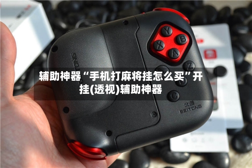 辅助神器“手机打麻将挂怎么买	”开挂(透视)辅助神器-第2张图片