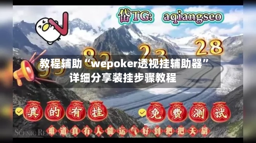 教程辅助“wepoker透视挂辅助器	”详细分享装挂步骤教程-第2张图片