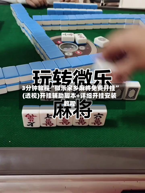 3分钟教程“微乐家乡麻将免费开挂”(透视)开挂辅助脚本+详细开挂安装教程-第1张图片