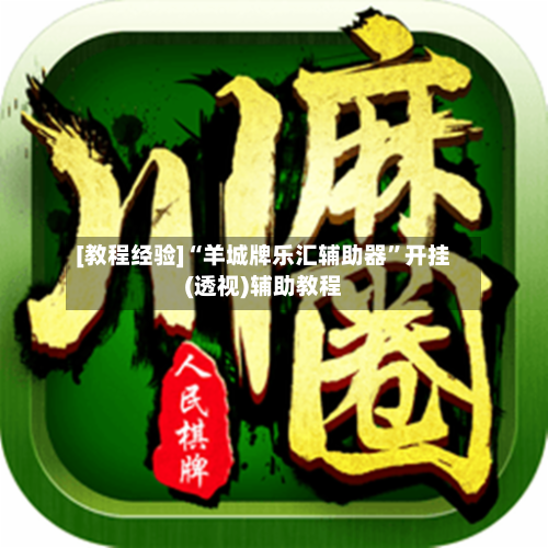 [教程经验]“羊城牌乐汇辅助器”开挂(透视)辅助教程-第3张图片