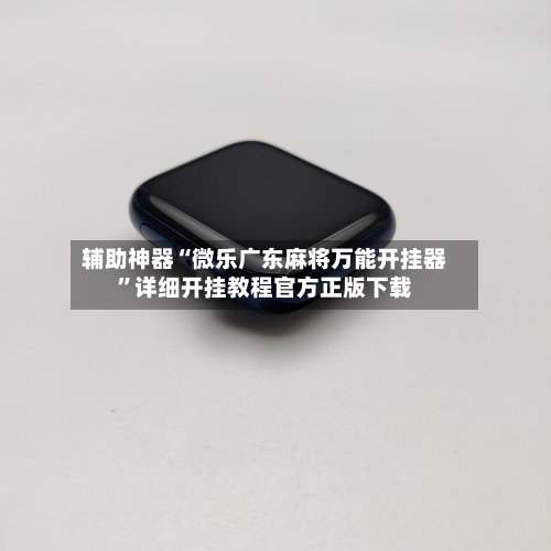 辅助神器“微乐广东麻将万能开挂器	”详细开挂教程官方正版下载-第1张图片