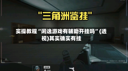 实操教程“闲逸游戏有辅助开挂吗”(透视)其实确实有挂-第2张图片