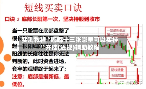 实测教程“嘟嘟十三张哪里可以买挂	”开挂(透视)辅助教程-第2张图片