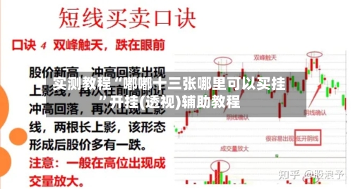 实测教程“嘟嘟十三张哪里可以买挂”开挂(透视)辅助教程-第3张图片