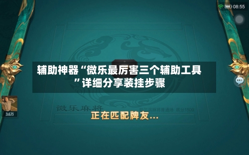 辅助神器“微乐最厉害三个辅助工具”详细分享装挂步骤-第2张图片