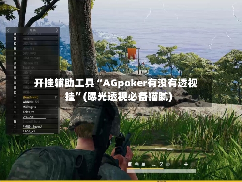 开挂辅助工具“AGpoker有没有透视挂”(曝光透视必备猫腻)-第2张图片