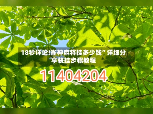 18秒详论!雀神麻将挂多少钱”详细分享装挂步骤教程-第2张图片