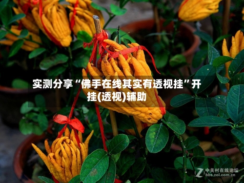 实测分享“佛手在线其实有透视挂”开挂(透视)辅助-第1张图片