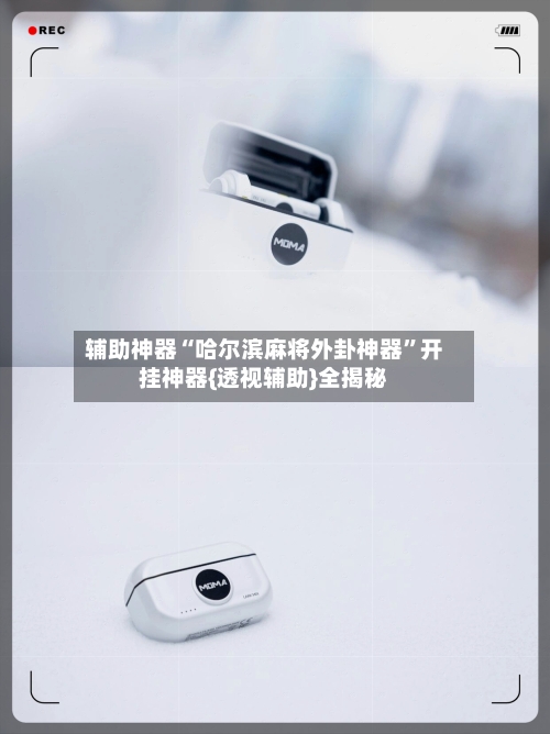 辅助神器“哈尔滨麻将外卦神器”开挂神器{透视辅助}全揭秘-第3张图片