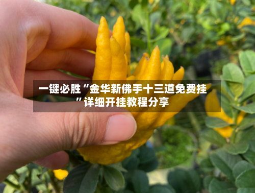 一键必胜“金华新佛手十三道免费挂”详细开挂教程分享-第2张图片