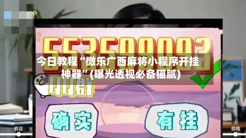今日教程“微乐广西麻将小程序开挂神器”(曝光透视必备猫腻)-第1张图片