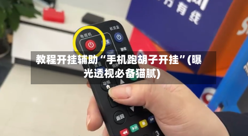 教程开挂辅助“手机跑胡子开挂”(曝光透视必备猫腻)-第1张图片